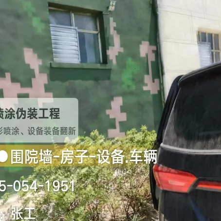 贵阳数码迷彩漆施工